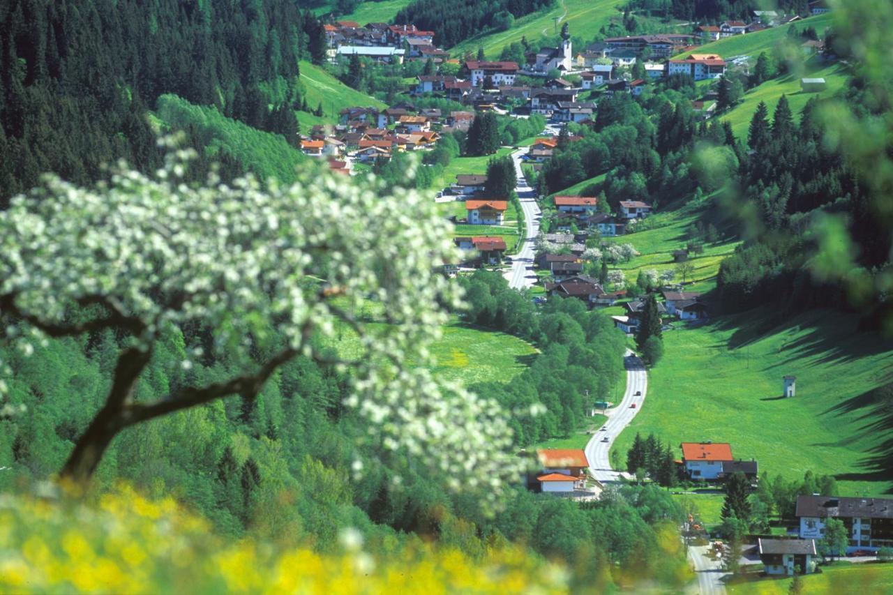 Hotel Haus Am Wildbach à Auffach Extérieur photo